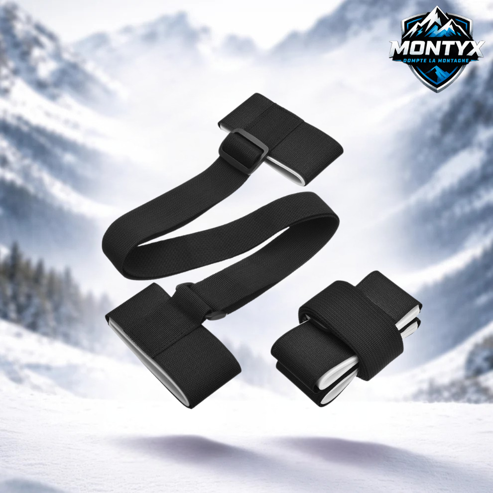 Porte-ski Montyx